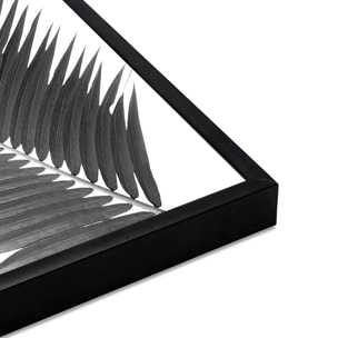 Affiche encadrée feuille de palmier noir et blanc Affiche + cadre en métal - Noir