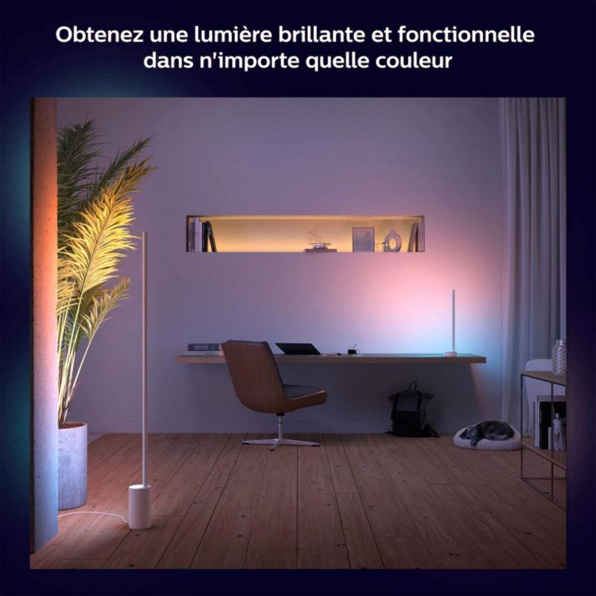 Lampe connectée PHILIPS HUE W&C Gradient Sign blanc