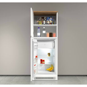 Dispensa da cucina Dcasasol, Mobile multiuso, Armadio porta frigo a 2 ante, 100% Made in Italy, 60x60h165 cm, Bianco lucido e Rovere