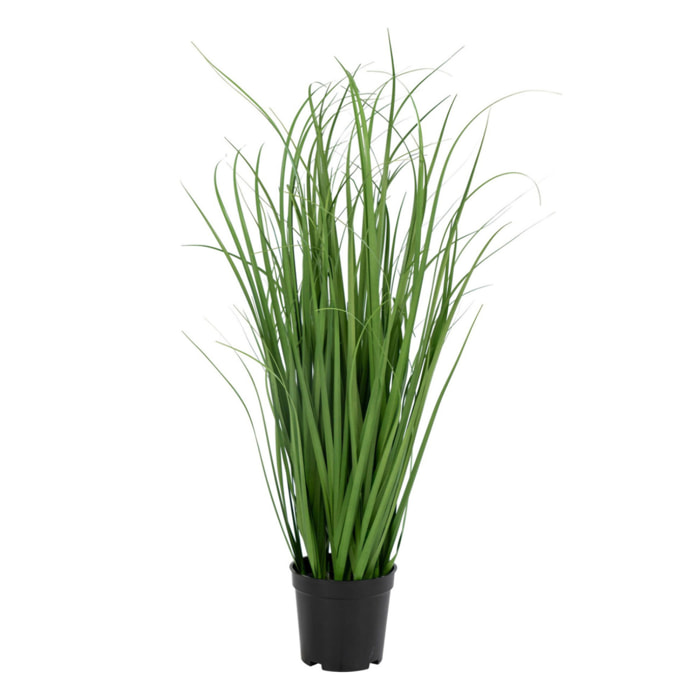 Erba poa artificiale verde H 68 cm