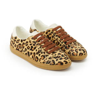 Sneaker British Passport Marrone