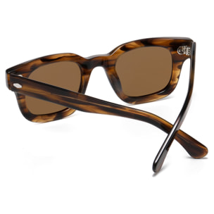 Gafas de sol PALO ALTO BUCHANAN - Marrón demi / Polarizada marrón