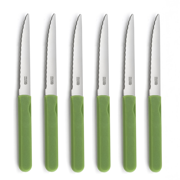 Energy Verde - Set 6 coltelli da bistecca