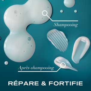 OGX Shampooing Réparateur Huile d'Argan du Maroc, 385ml – Soin capillaire pour cheveux secs et abîmés – Shampoing sans sulfate