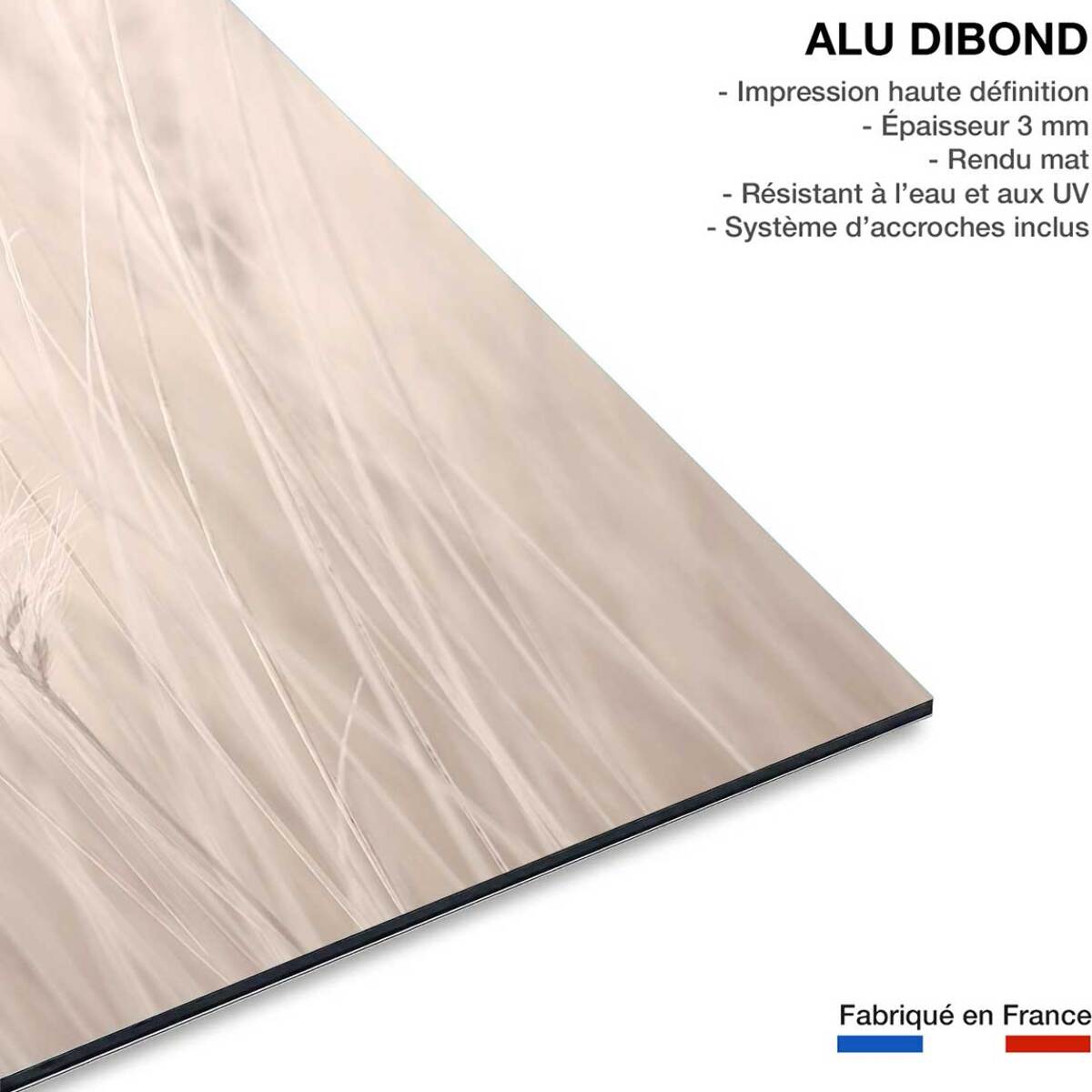 Tableau blé poudré Tableau alu Dibond