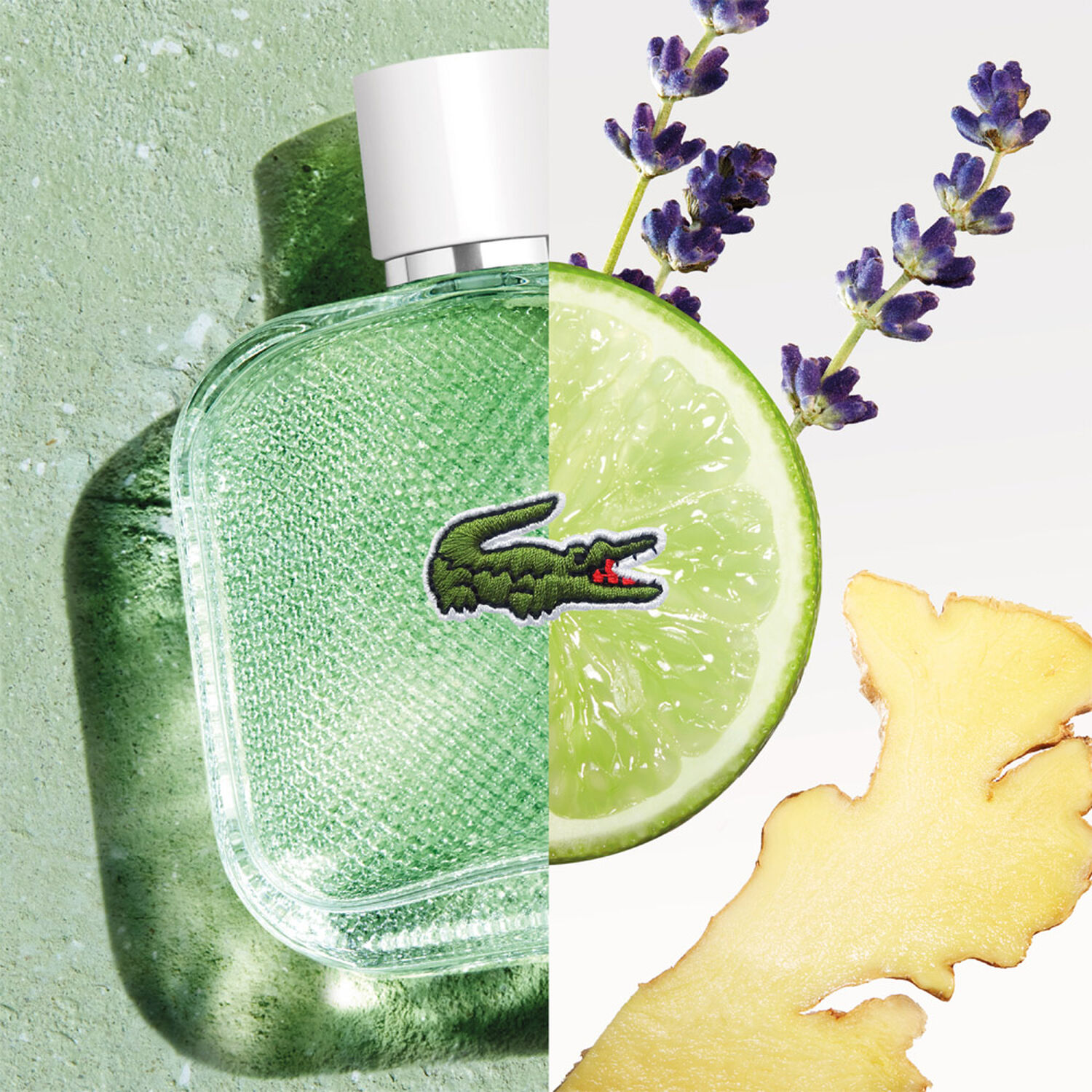 L.12.12 Blanc Eau Fraîche - Eau de Toilette