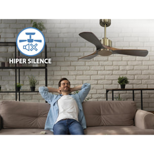 Ventilateur de plafond Réversible  Thermostat Wifi Moteur à courant continu Toits en pente Télécommande Hypersilence Mémoire
