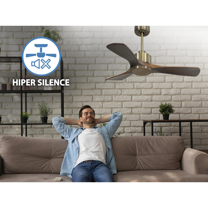 Ventilateur de plafond Réversible  Thermostat Wifi Moteur à courant continu Toits en pente Télécommande Hypersilence Mémoire