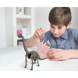 Scava e crea lo scheletro di un Brachiosauro