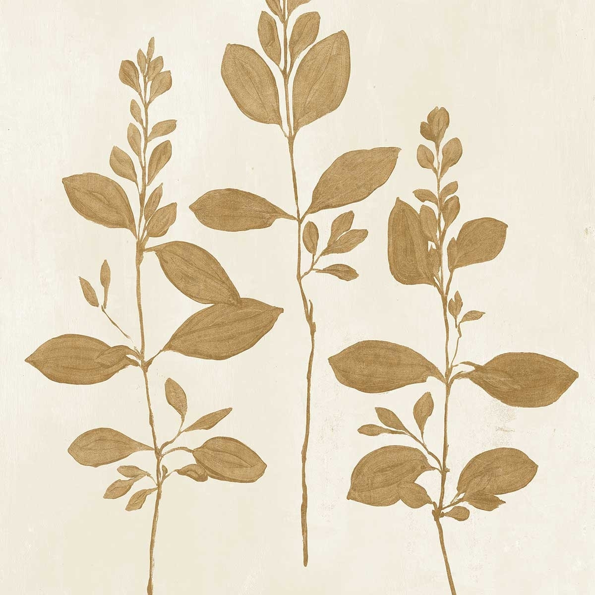 Affiche fleurs Recolte d'or Fresca Affiche + cadre en bois - Chêne