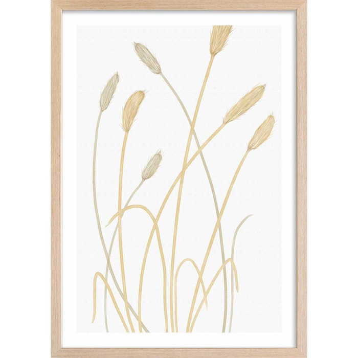 Affiche  scandi blés 2 Affiche + cadre en bois - Chêne