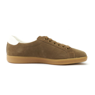Sneaker British Passport Marrone