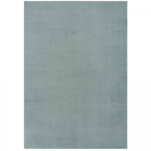 Tapis salon MITA, soft et soyeux, tapis uni à l'aspect Shaggy