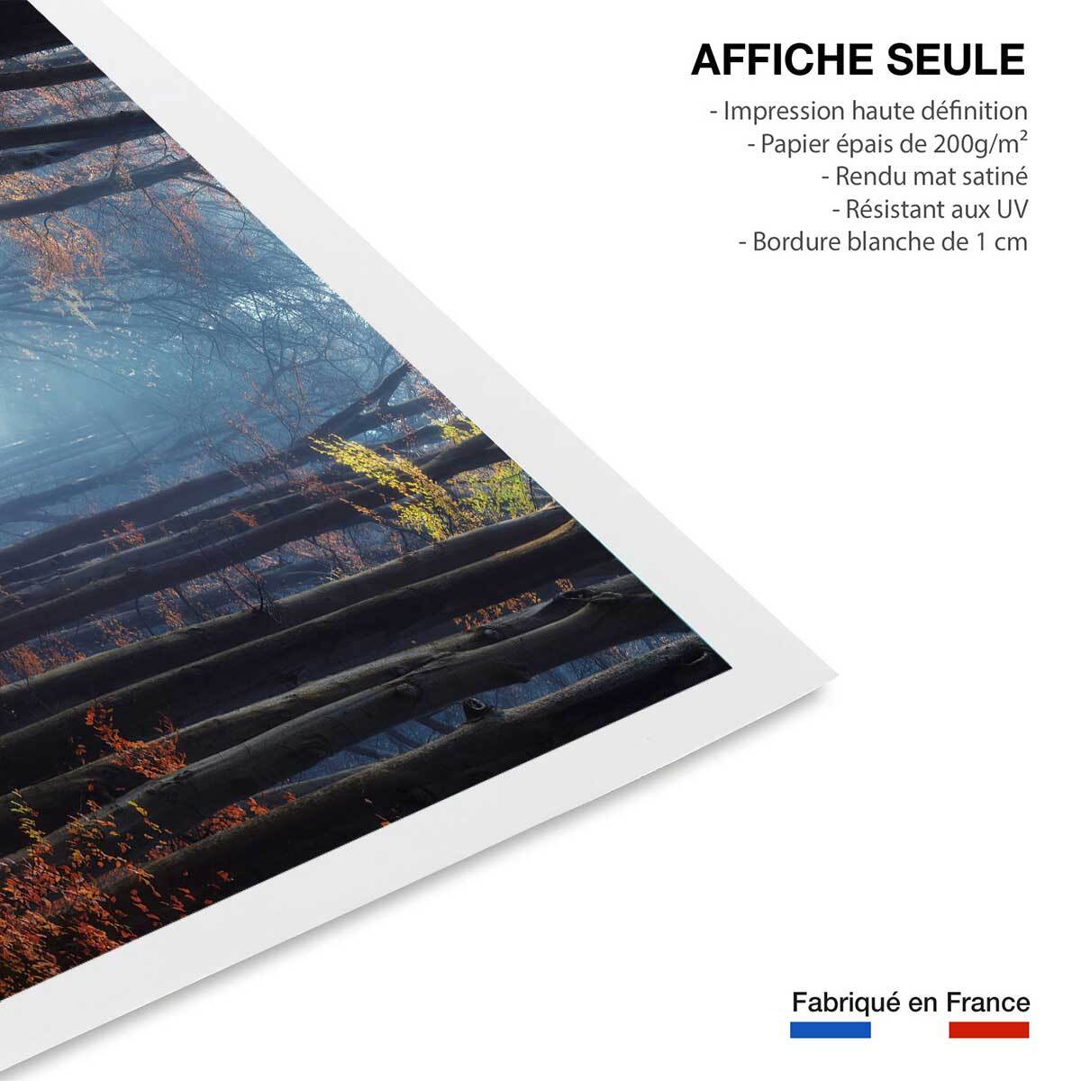Affiche ""Lumière douce d'automne"" Affiche seule