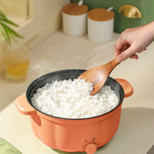 Vaporiera elettrica multifunzione: tre temperature: vaporiera, caldo, soffritto... 2,5 L doppio livello.