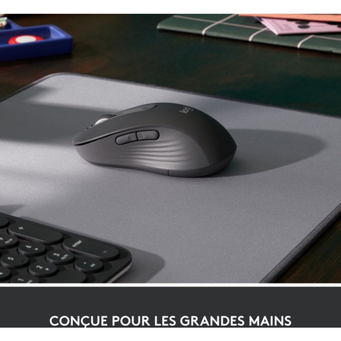 Souris sans fil LOGITECH Signature M650 L Graphite - grde taille