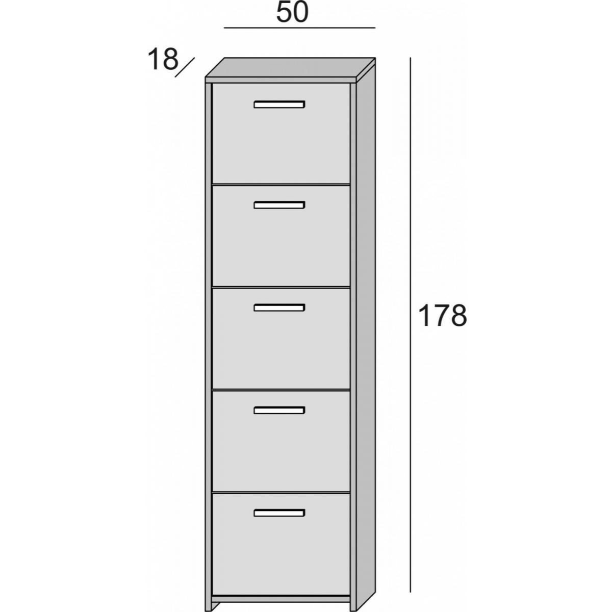 Scarpiera Dafne, Mobile multiuso da ingresso a 5 ante, Armadio moderno portascarpe a ripiani, 100% Made in Italy, Cm 50x18h178, Bianco