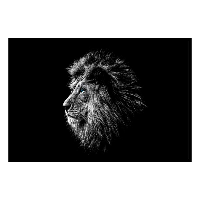 Affiche encadrée lion noir et blanc regard bleu Affiche + cadre en métal - Noir