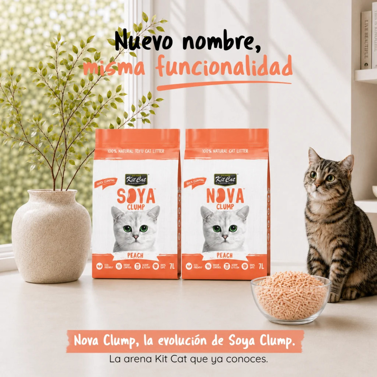 Kit Cat Arena Eco Nova - Peach 7 L Arena para gatos