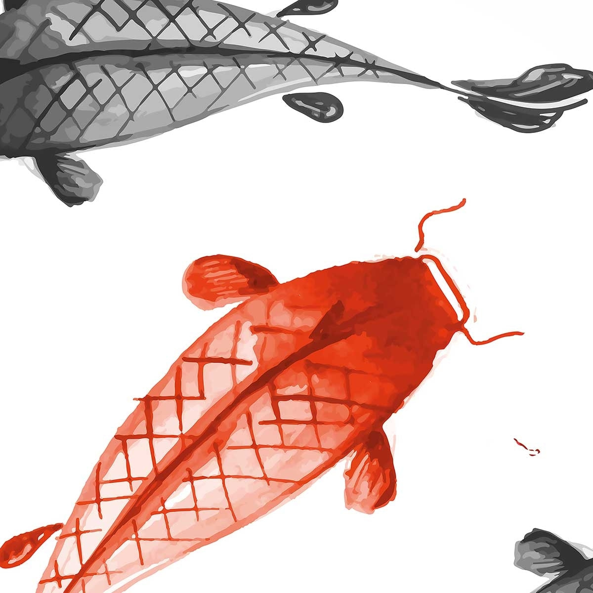 Affiche dessin carpes koï Affiche sous cadre noir