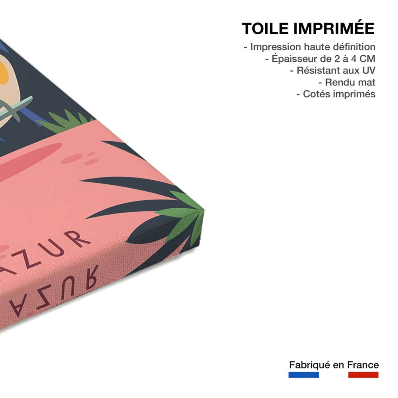 Tableau cote d azur cannes et les iles de lerins  Toile imprimée