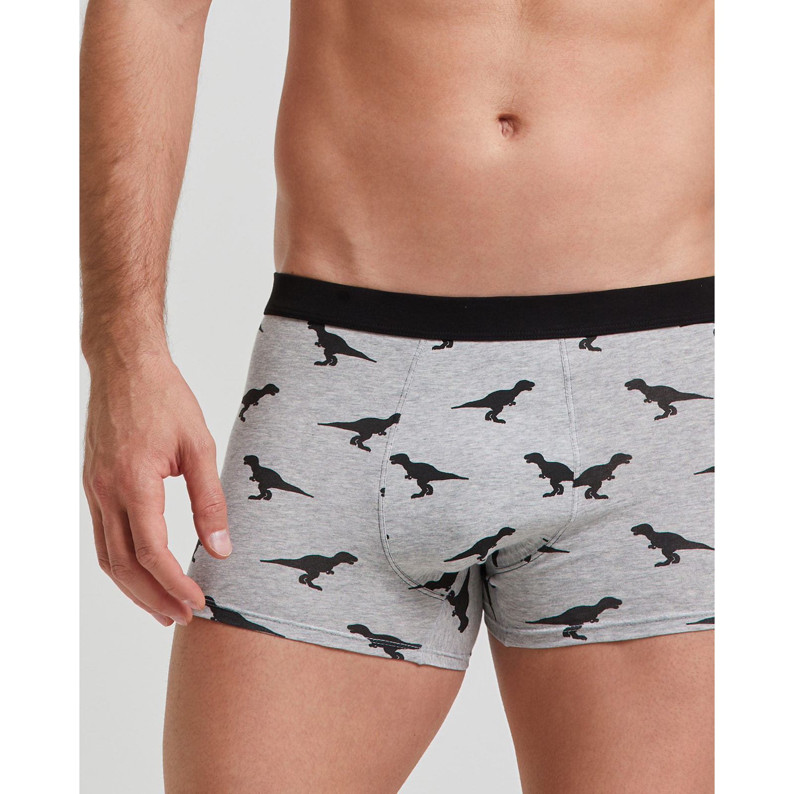 Boxer cotone Dinos