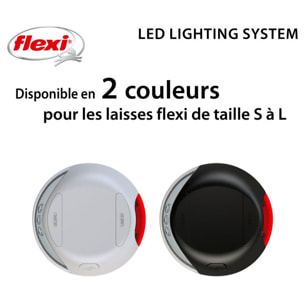 Accessoires pour Laisse LED Lighting System light USB grey Flexi CFNZLS-551-HGR