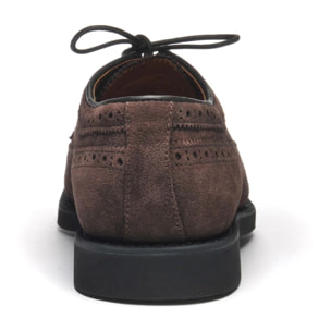 Sebago - Scarpe allacciate Uomo Marrone - Canton Suede
