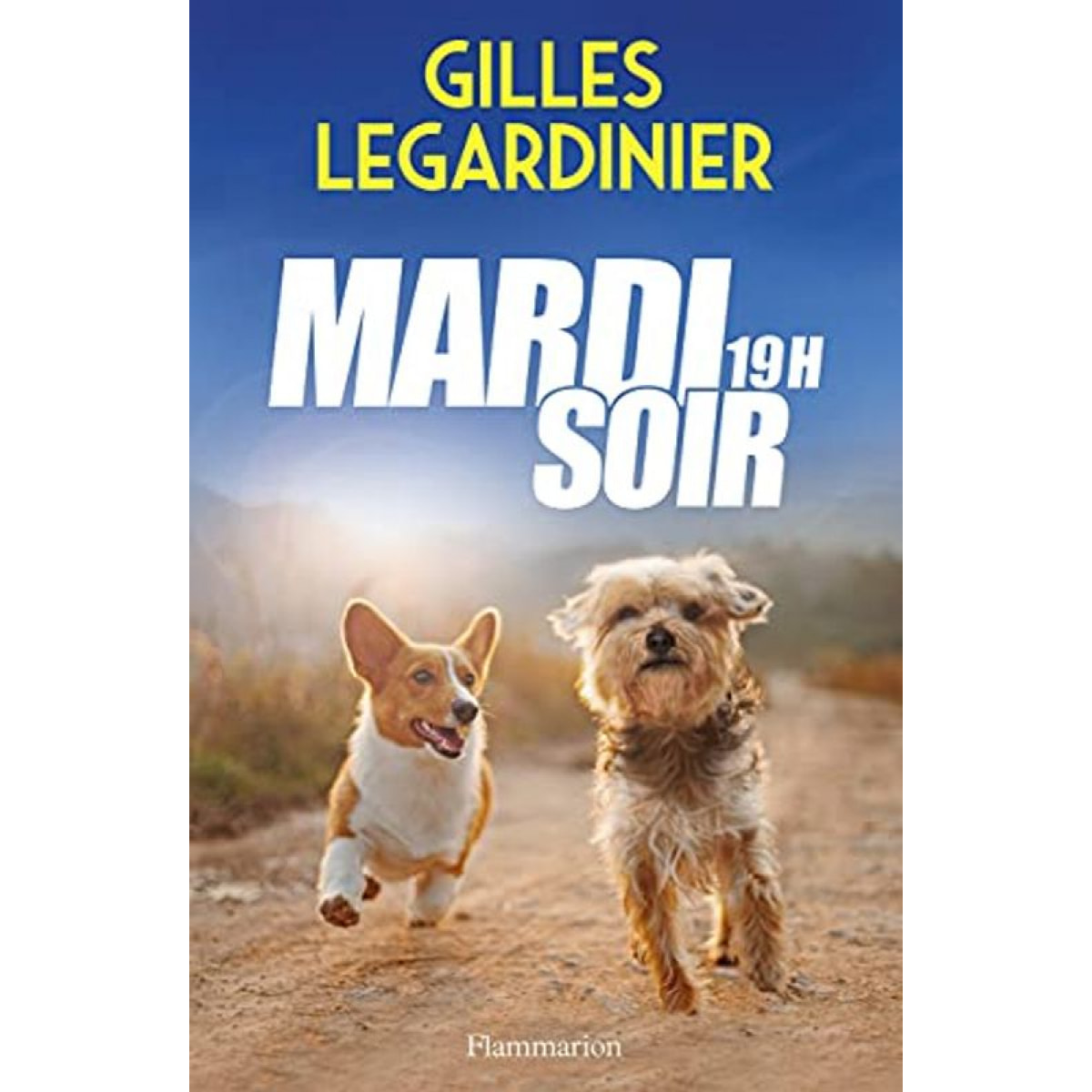 Legardinier, Gilles | Mardi soir, 19h | Livre d'occasion