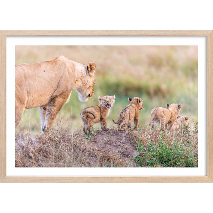 Affiche animaux let's go mom Affiche + cadre en bois - Chêne