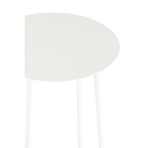 J-Line présentoir à Fleurs Deux - métal - blanc