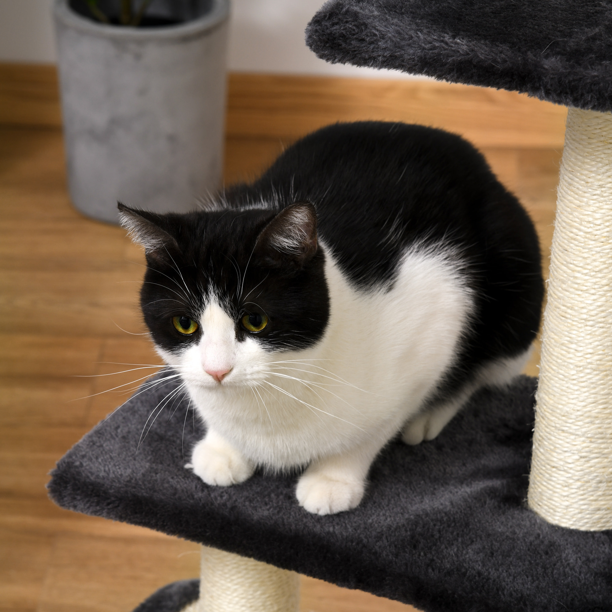 Arbre à chat griffoir grattoir design jeu boule suspendue 2 plateformes peluche sisal naturel gris