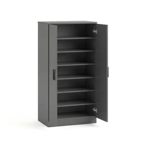 Zapatero de 2 puertas en gris grafito 55x108 cm Liam Gris Grafito