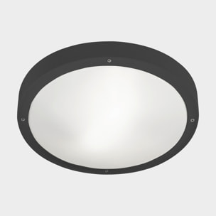 LEDS C4 Plafon Ip66 Basic E27 15W Gris Urbano