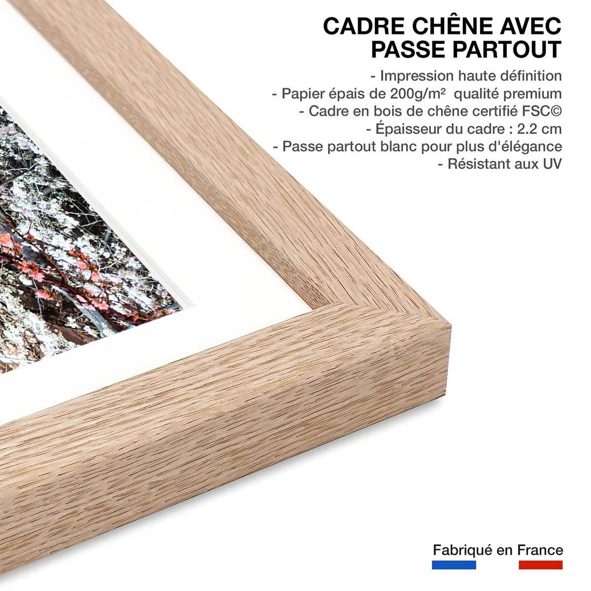 Affiche photo cerisiers et hanami à tokyo Affiche + cadre en bois - Chêne