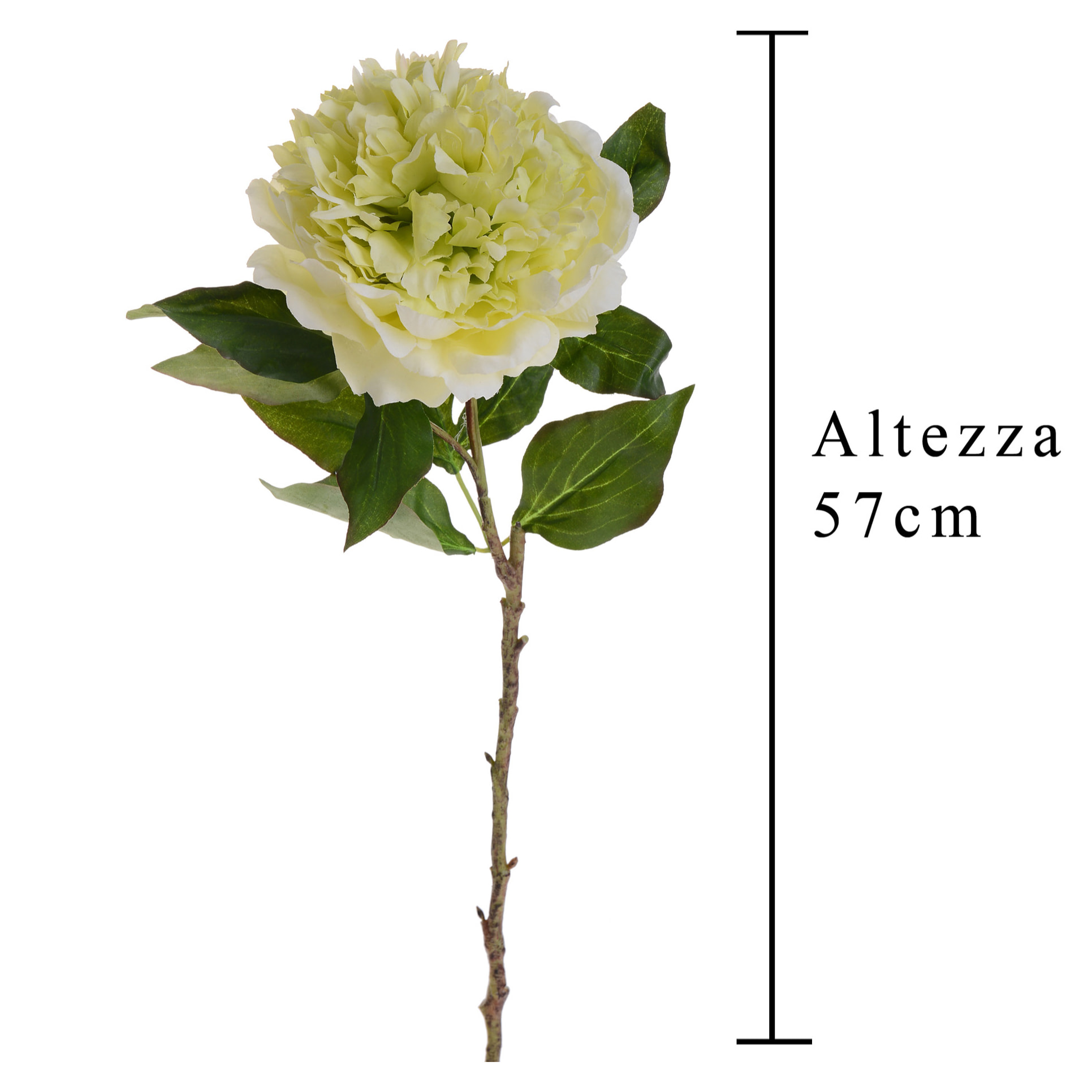 Peonia. Altezza 57 Cm - Pezzi 4 - 16X57X14cm - Colore: Verde - Bianchi Dino - Fiori Artificiali