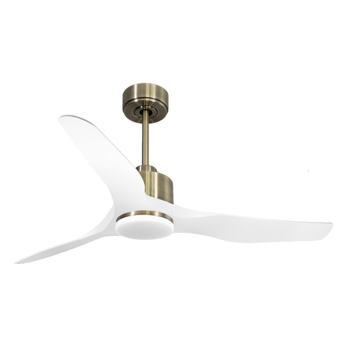 Ventilateur de plafond Réversible  Thermostat Dimmable Wifi Moteur à courant continu Toits en pente Télécommande Lumière à trois tons Adaptateur 2/3 Lames