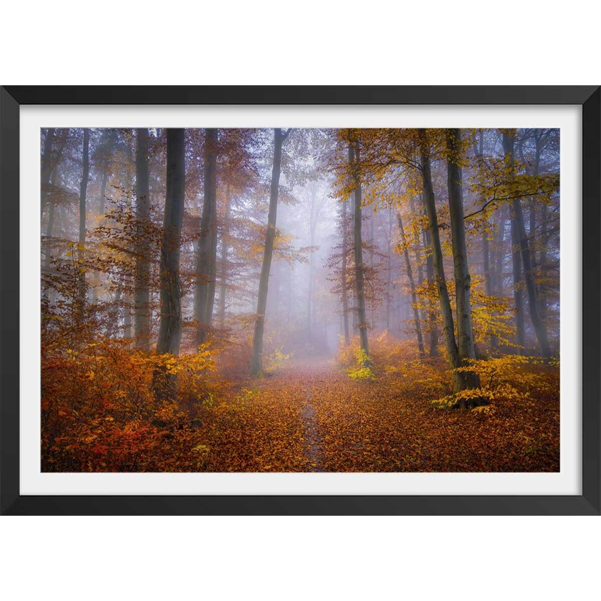 Affiche Chemin d'automne Affiche + cadre en bois - Noir