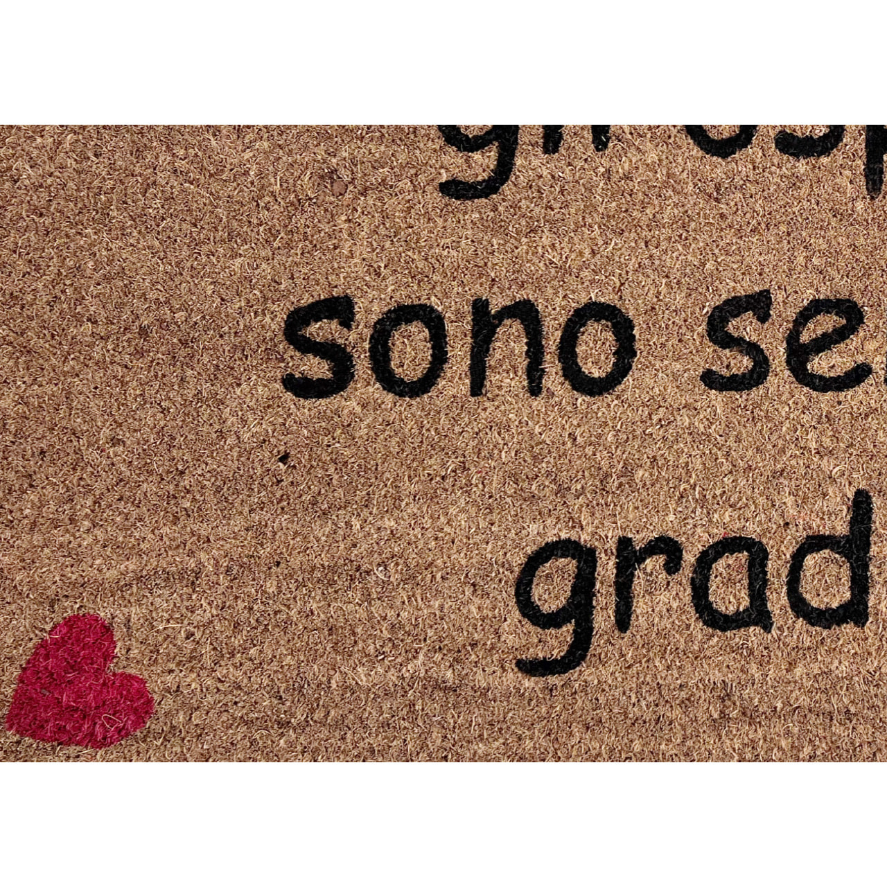 Zerbino Ingresso Casa Antiscivolo in Cocco Ospiti Graditi