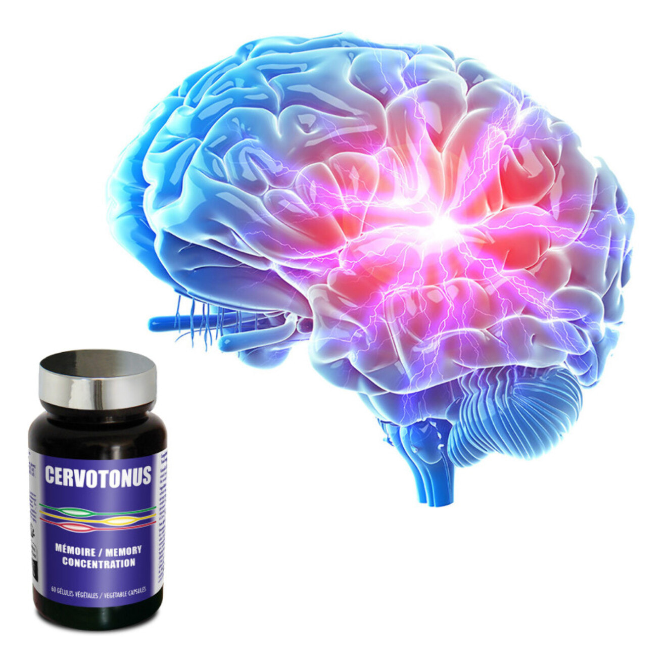 NUTRI EXPERT - Cervotonus - Complément alimentaire à base de Ginkgo, Vitamine B, Cuivre, Zinc - Mémoire & Concentration - Soutien des performances cognitives - Lot de 3 produits