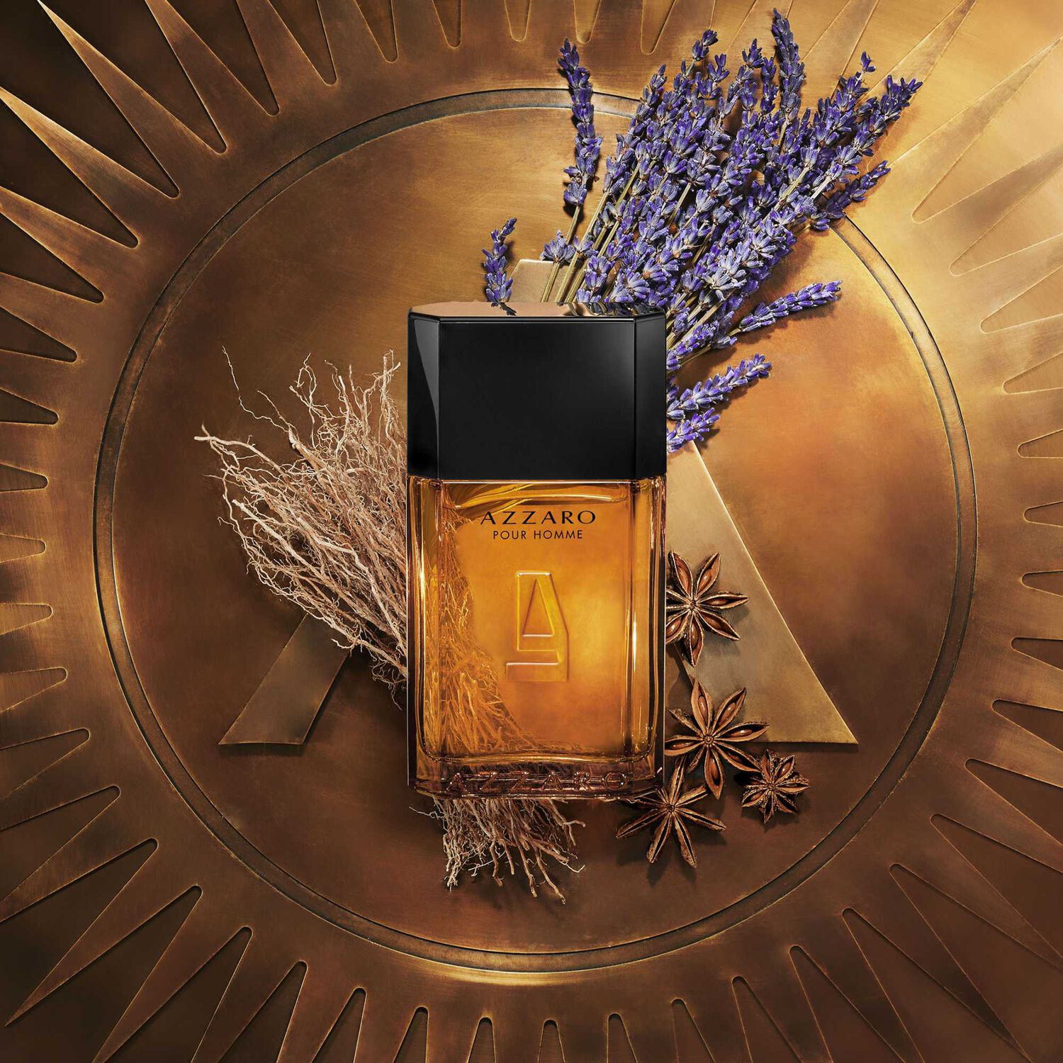 Azzaro pour Homme  - Déodorant Stick