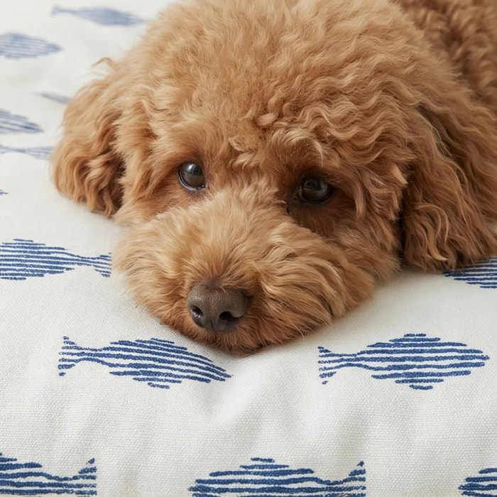 Housse antitaches pour lit pour animal Chiry