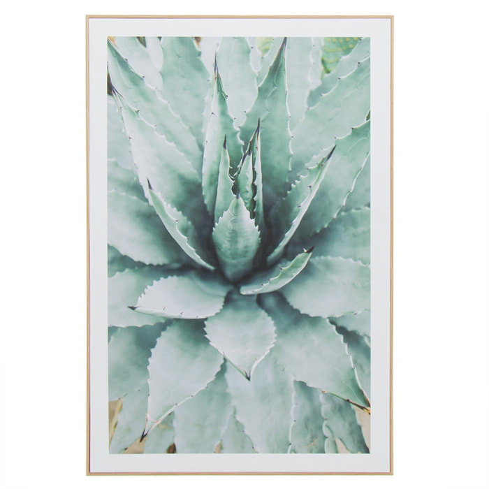 Tableau narvani cactus 40x60cm