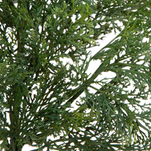 Ramo cedro - Pezzi 12 - 22xH79x21cm - Bianchi Dino SpA