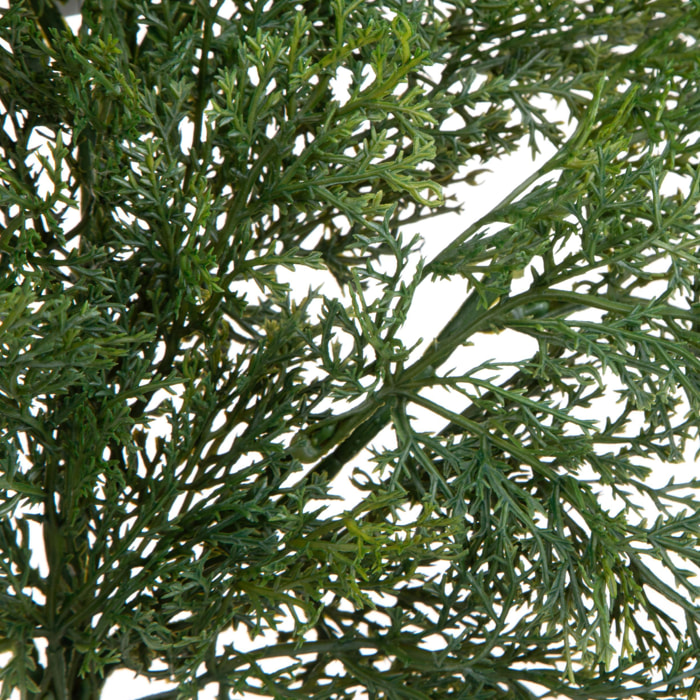 Ramo cedro - Pezzi 12 - 22xH79x21cm - Bianchi Dino SpA