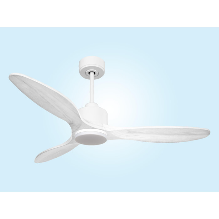 Ventilateur de plafond Réversible  Thermostat Dimmable Wifi Moteur à courant continu Toits en pente Télécommande Lumière à trois tons Hypersilence Mémoire