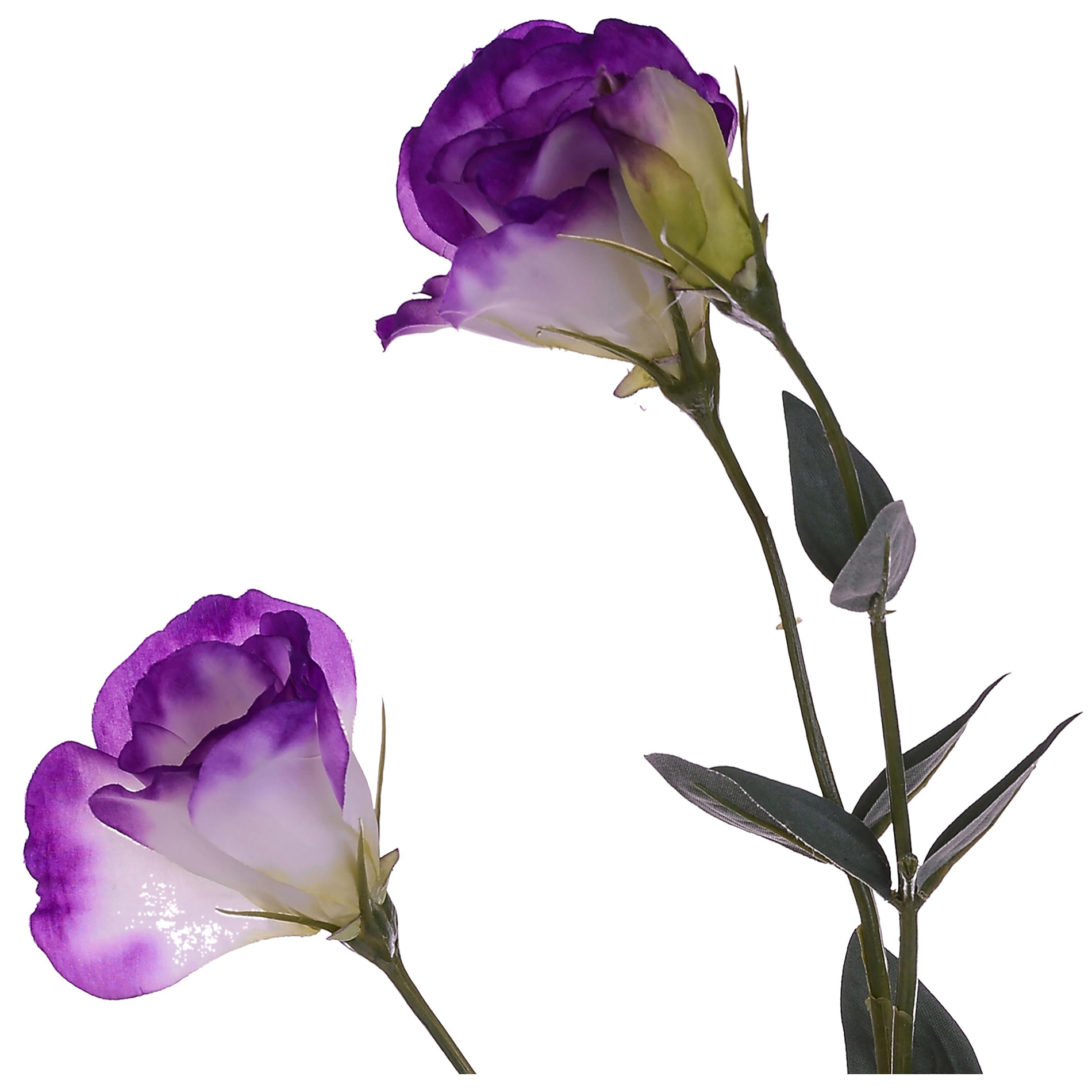 Lisianthus Composto Da 3 Fiori. Altezza 75 Cm - Pezzi 6 - 10X75X19cm - Colore: Altro - Bianchi Dino - Fiori Artificiali