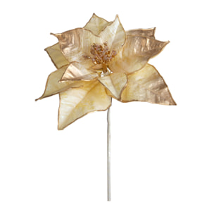 Stella - Pezzi 12 - 21,5xH50x2cm - Bianchi Dino SpA