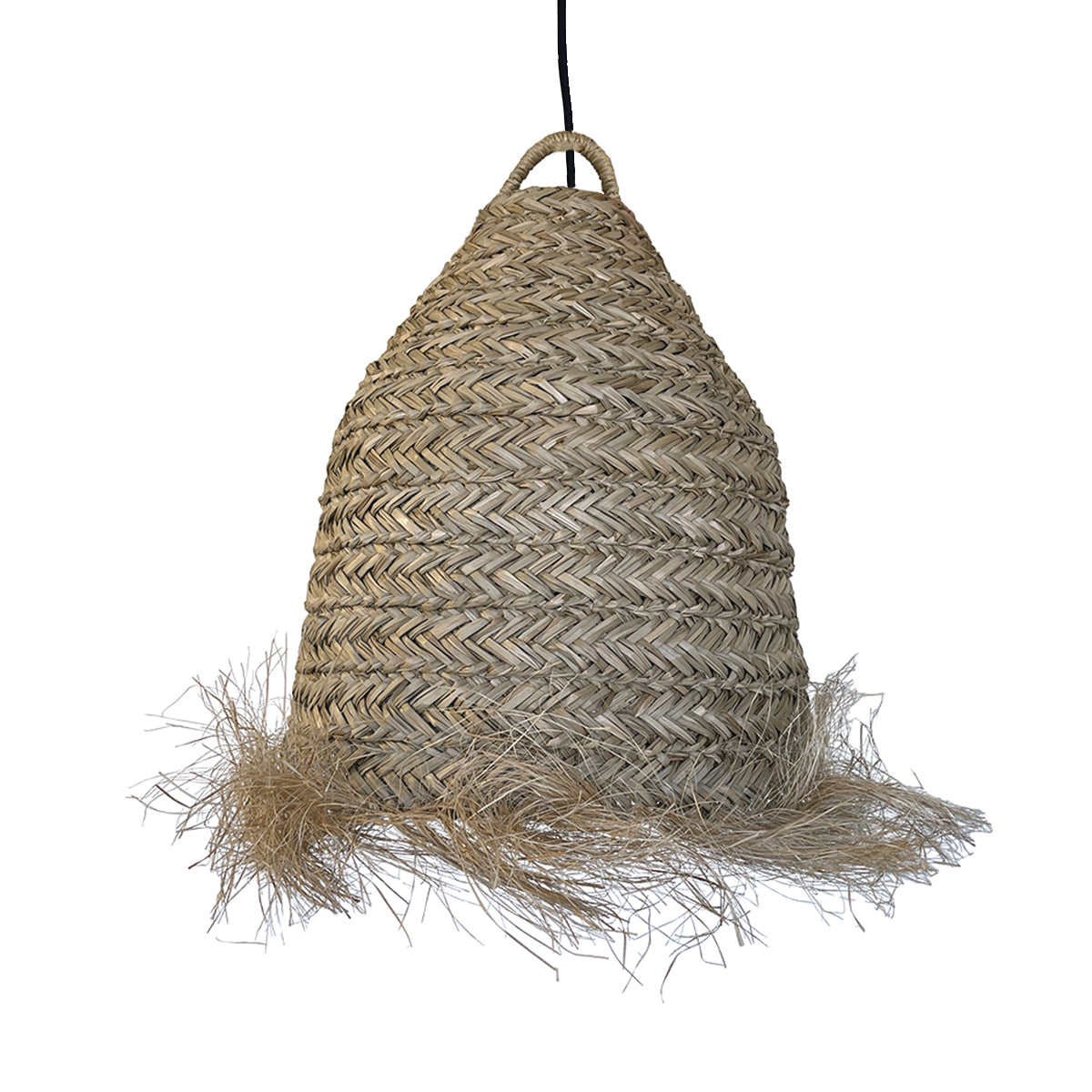 Suspension secteur ANAFI H47CM 5M