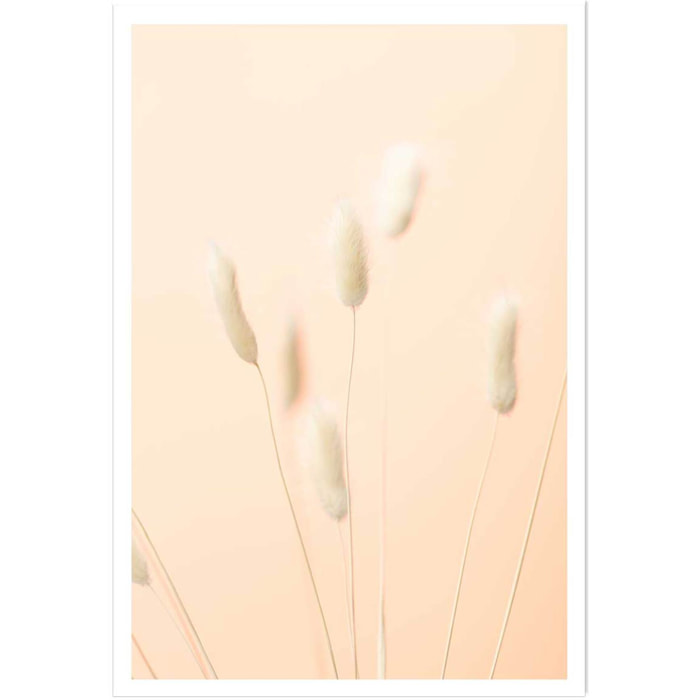 Affiche  scandi pampa Affiche seule